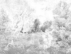 Lemusich's Garden No. 5/1