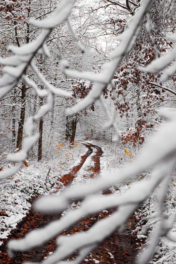 Bernd Weingart – Ode for the Marking Tree No. 3 (2013)