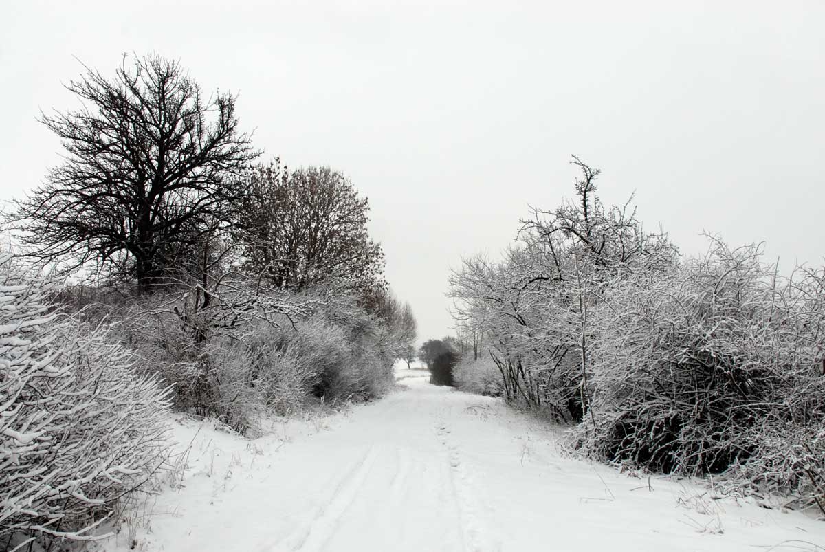Bernd Weingart – Ode an den Heimweg Nr. 1 (2009 lfd.)