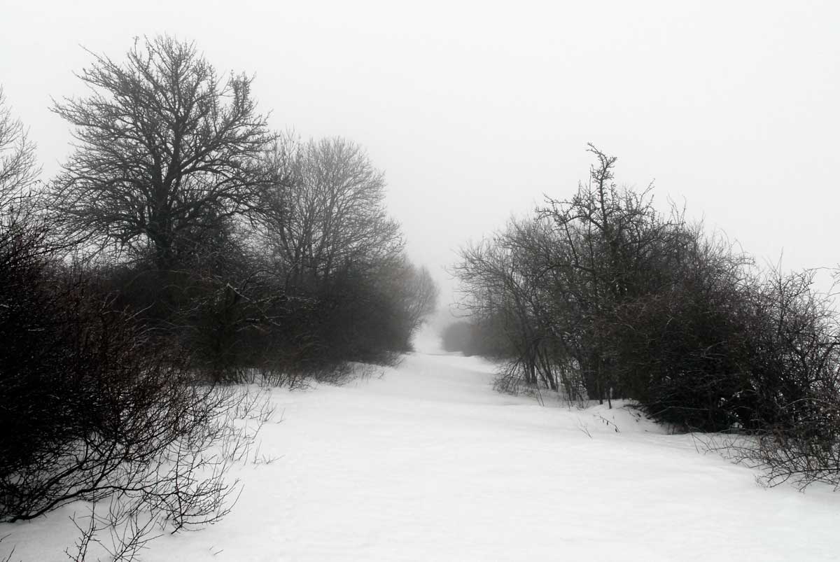 Bernd Weingart – Ode an den Heimweg Nr. 2 (2009 lfd.)