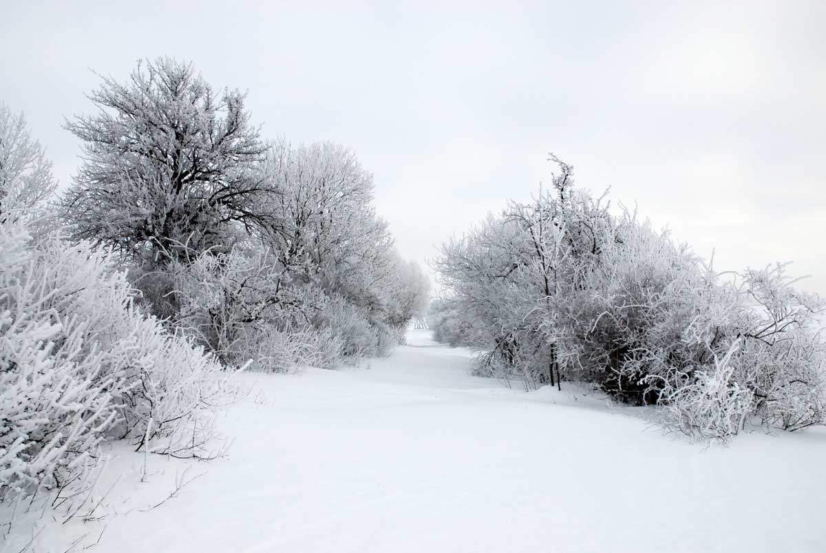 Bernd Weingart – Ode an den Heimweg Nr. 3 (2009 lfd.)