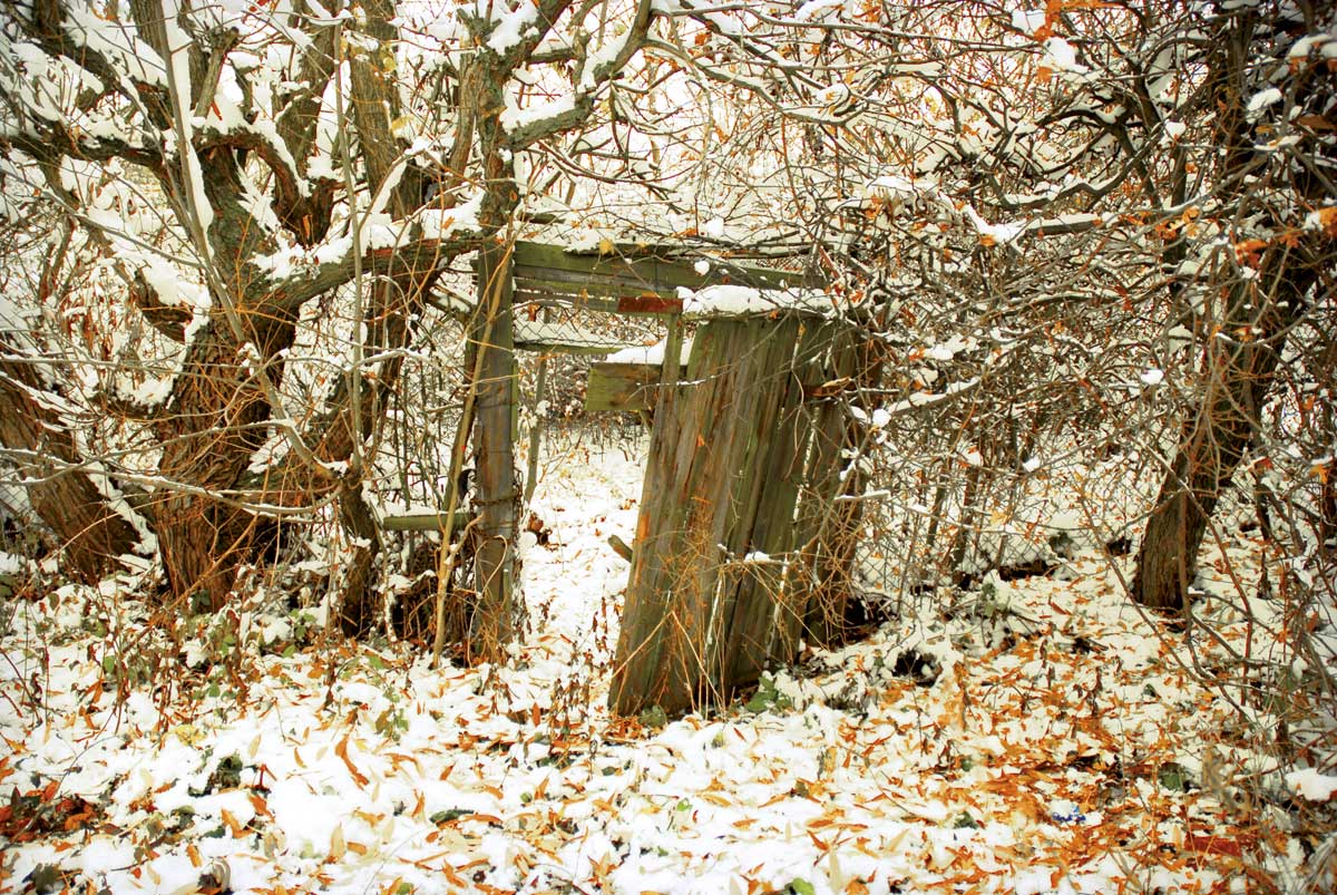 Bernd Weingart – Ode for the Deserted Garden No. 1 (2007)