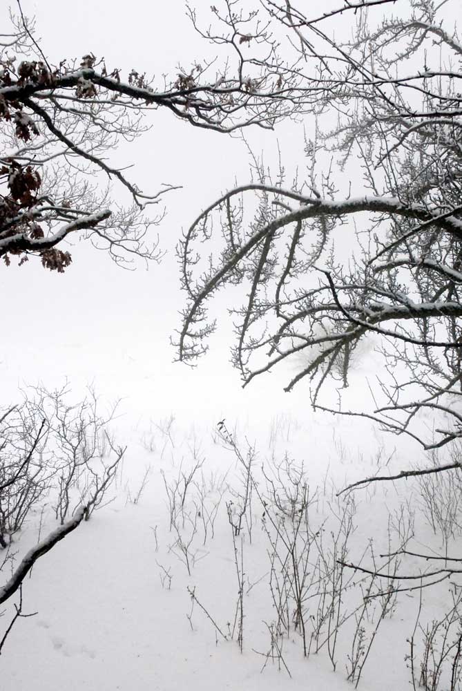 Bernd Weingart – Ode for the Ice Meadow No. 1 (2010)