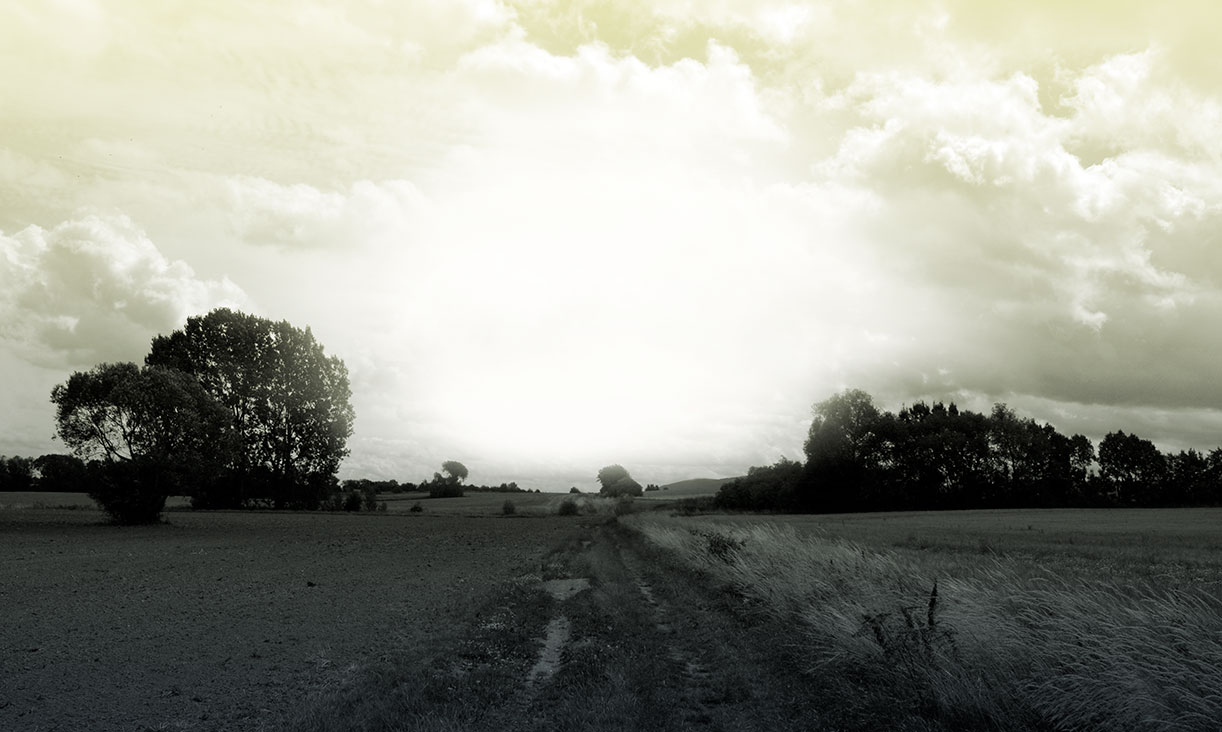 Bernd Weingart — Echoes, No. 04/1 (2008)