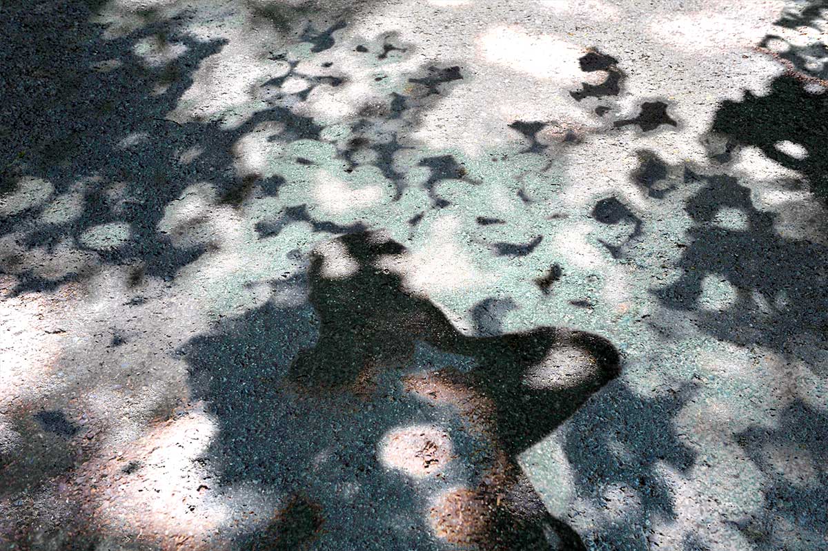 Bernd Weingart – White Path, Fig. 003 (2012)