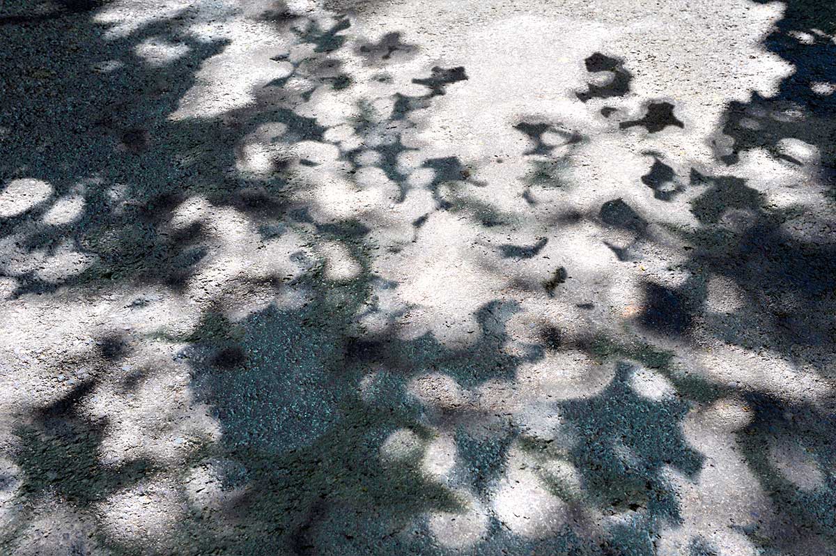 Bernd Weingart – Weißer Weg, Fig. 008 (2012)