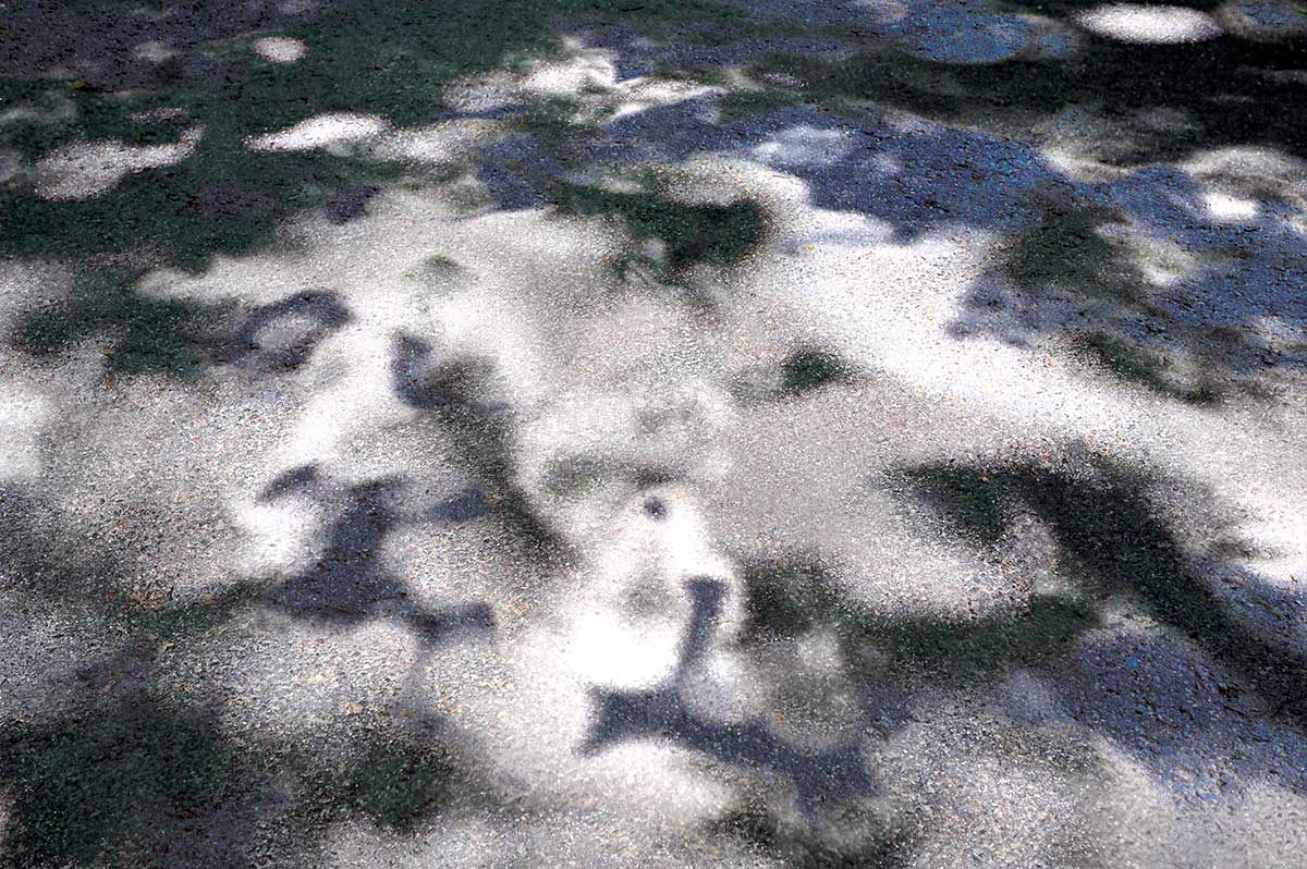 Bernd Weingart – Weißer Weg, Fig. 010 (2012)