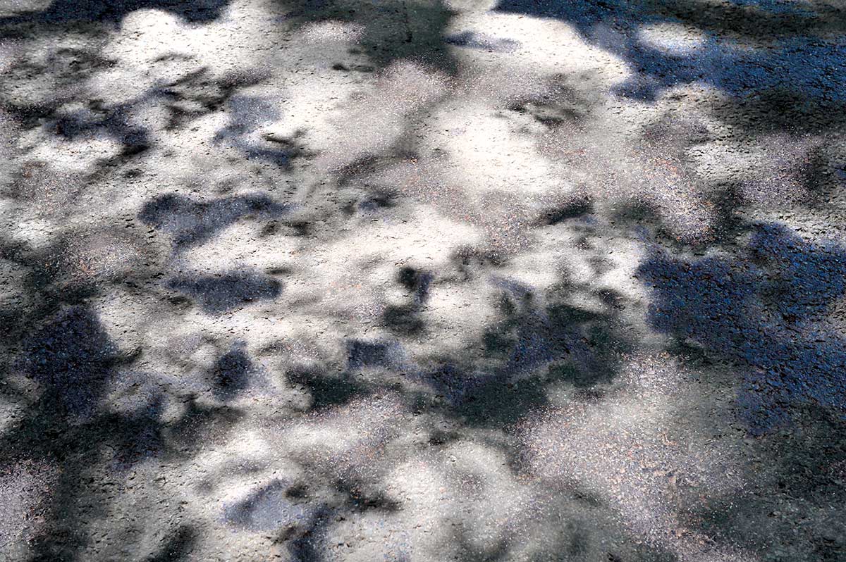 Bernd Weingart – White Path, Fig. 019 (2012)