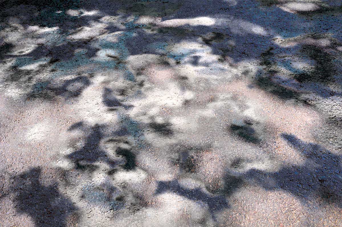 Bernd Weingart – White Path, Fig. 021 (2012)