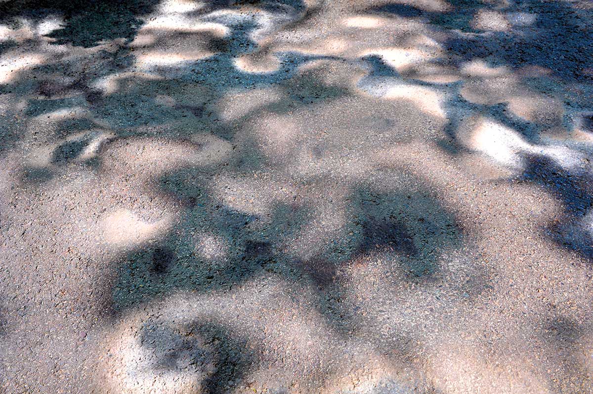 Bernd Weingart – White Path, Fig. 025 (2012)