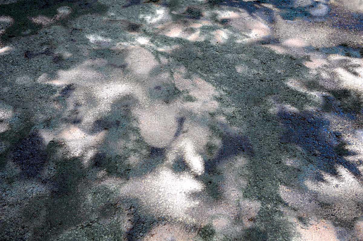 Bernd Weingart – White Path, Fig. 026 (2012)