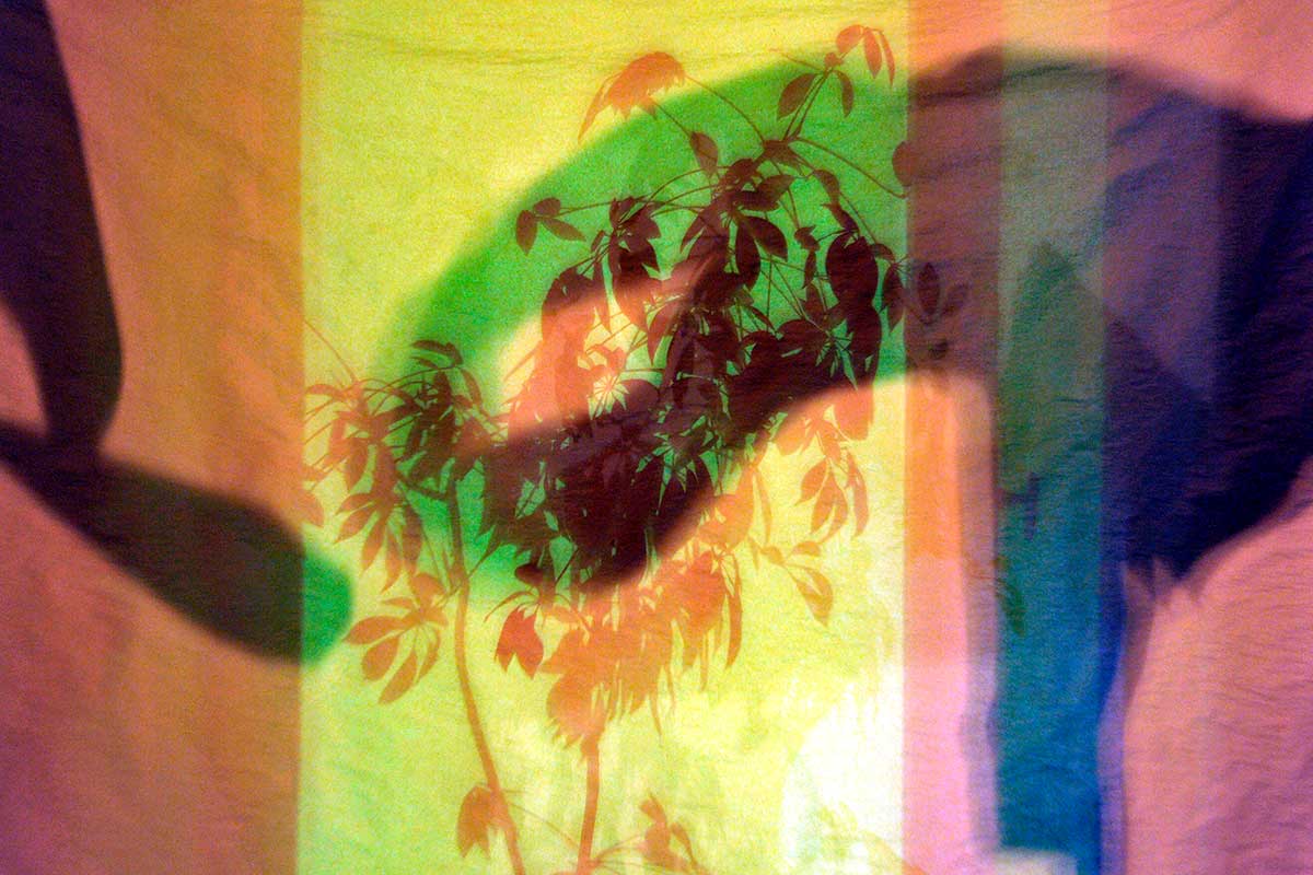 Bernd Weingart – Píyǐngxí, No. 02/1 (2012)