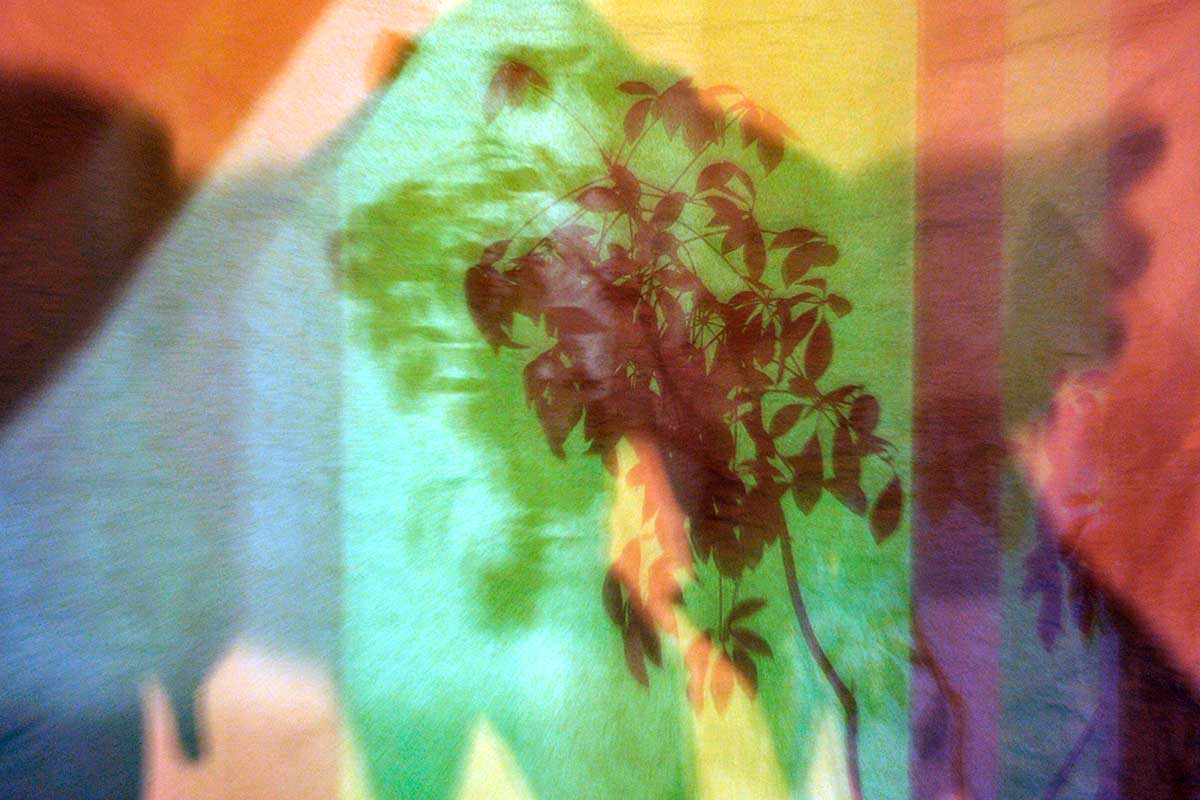 Bernd Weingart – Píyǐngxí, No. 02/2 (2012)