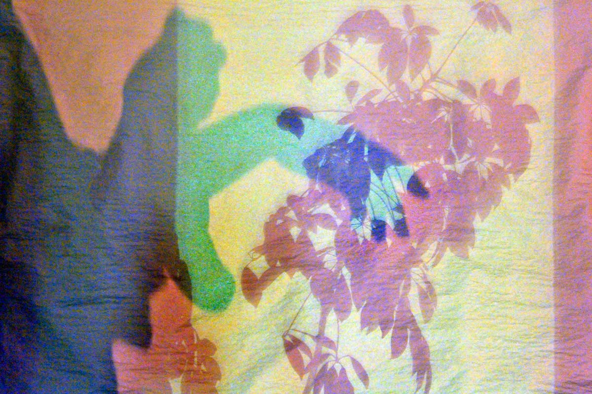 Bernd Weingart – Píyǐngxí, No. 03/2 (2012)