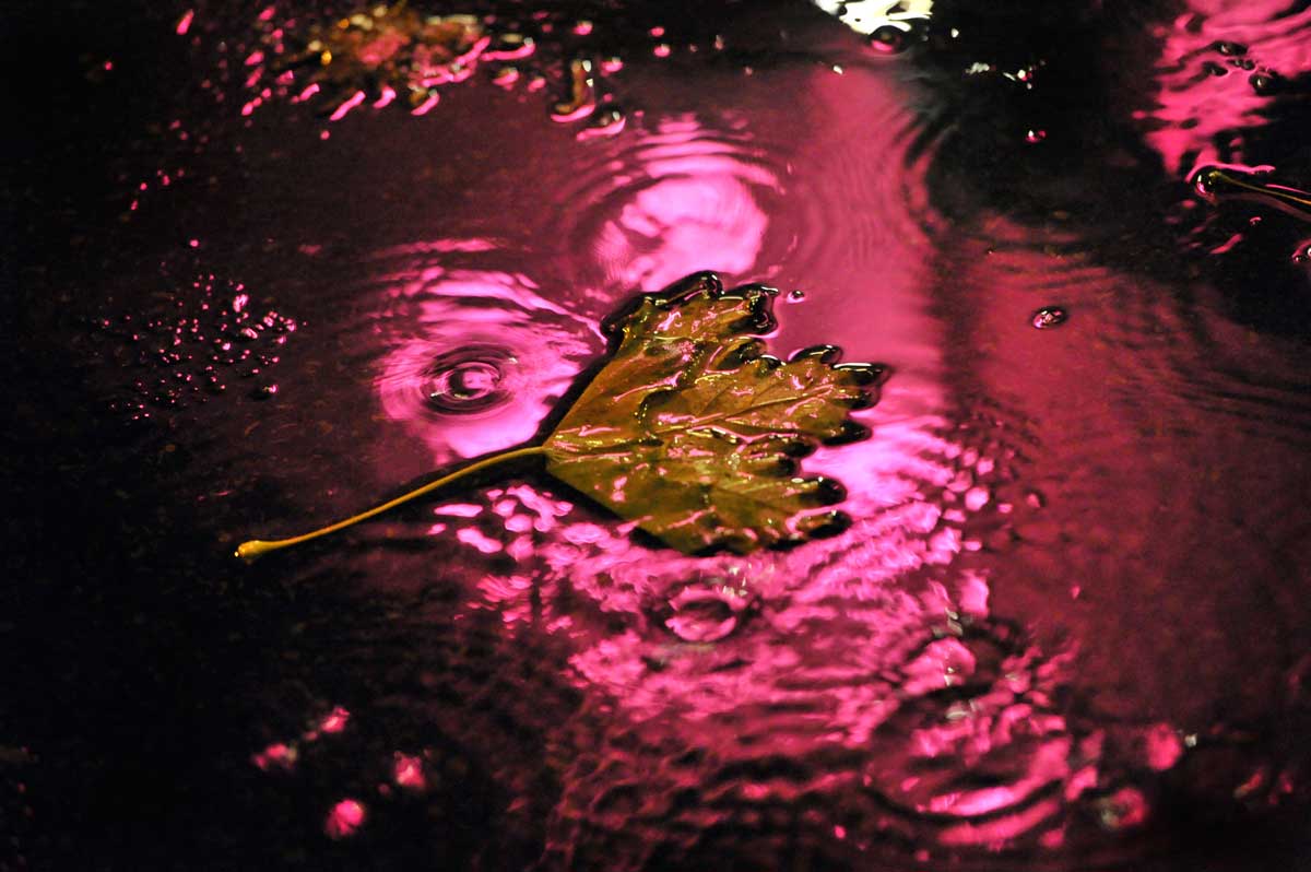 Bernd Weingart – Nocturnes, 74 (2013)