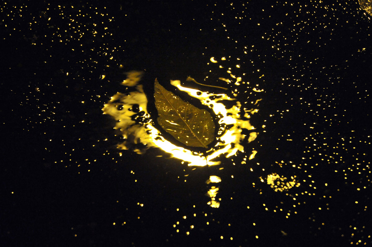 Bernd Weingart – Nachtstücke, Nr. 140 (2012)