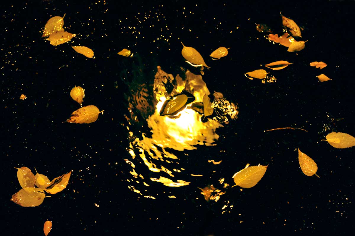 Bernd Weingart – Nachtstücke, Nr. 145 (2012)