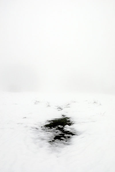Eiswiese 
