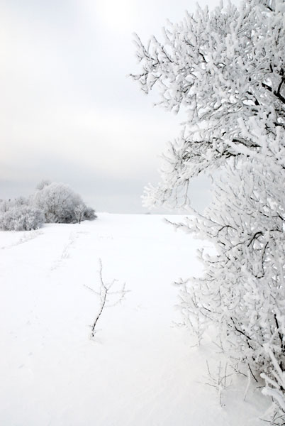 Ode an die Eiswiese 3