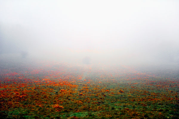 Bernd Weingart – Ode for the Rother Hög No. 1 (2013)