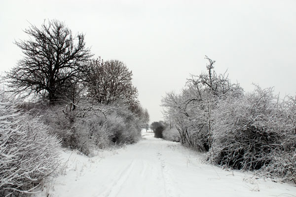 Bernd Weingart – Ode an den Heimweg Nr. 1 (2009 lfd.)