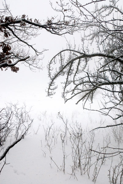 Bernd Weingart – Ode for the Ice Meadow No. 1 (2010)