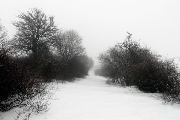 Ode an den Heimweg 2