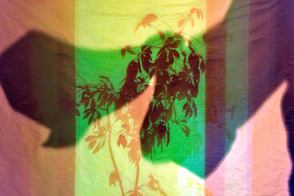 Bernd Weingart – Píyǐngxí, Diptych No. 01/1 (2012)