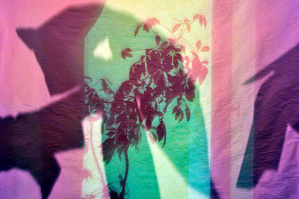 Bernd Weingart – Píyǐngxí, Diptych No. 04/1 (2012)