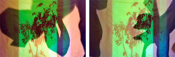 Píyǐngxí, Diptych No. 06/1-2 (2012)