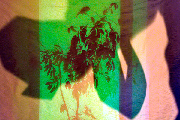 Bernd Weingart – Píyǐngxí, Diptych No. 06/1 (2012)