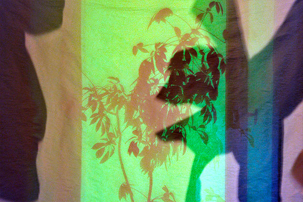 Bernd Weingart – Píyǐngxí, Diptych No. 06/2 (2012)