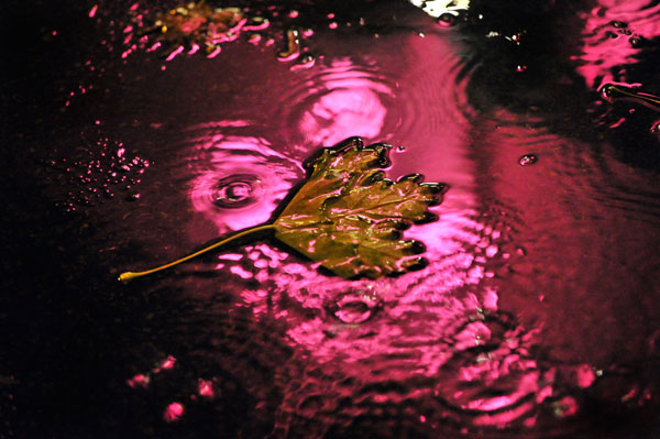 Bernd Weingart – Nocturnes, 74 (2013)