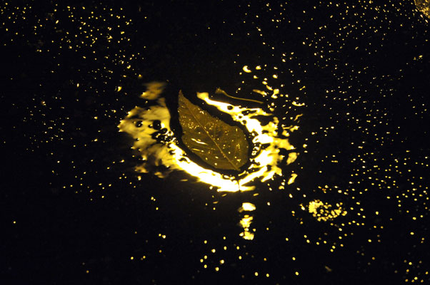 Bernd Weingart – Nachtstücke, Nr. 140 (2012)