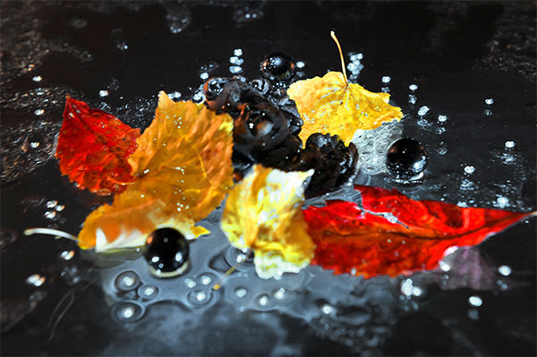 Bernd Weingart – Lux Mortem, No. 05 (2020)