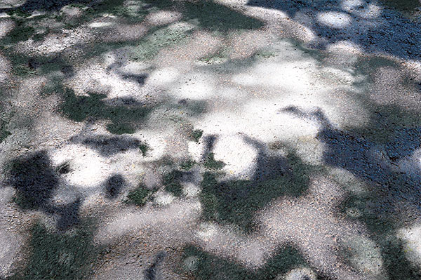 White Path