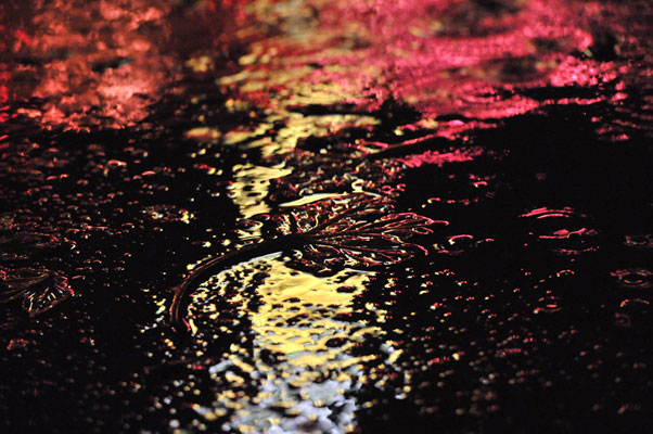 The Light in the Depths 164