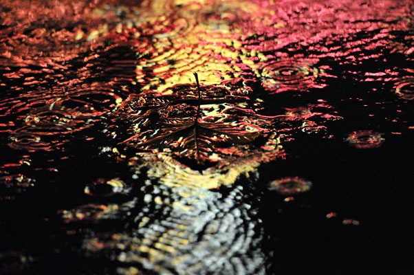 The Light in the Depths 192