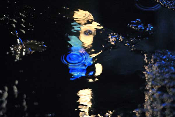 The Light in the Depths 56