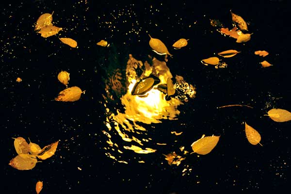 The Light in the Depths 145