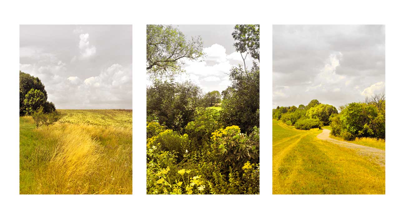 Landschaft, Am Feldweg