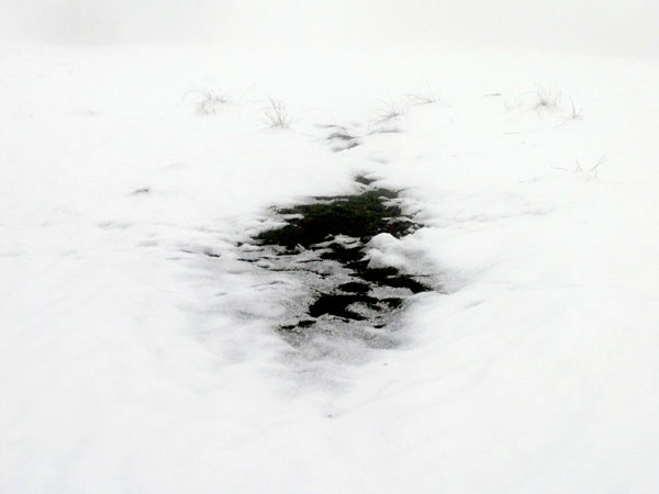 Paysage , Pré de glace