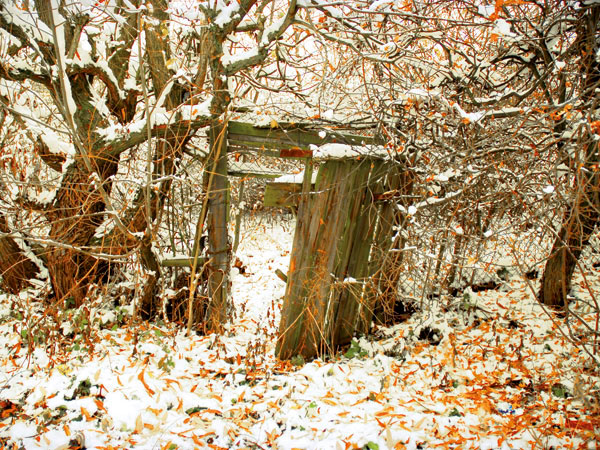 Paysage , Le jardin désertique