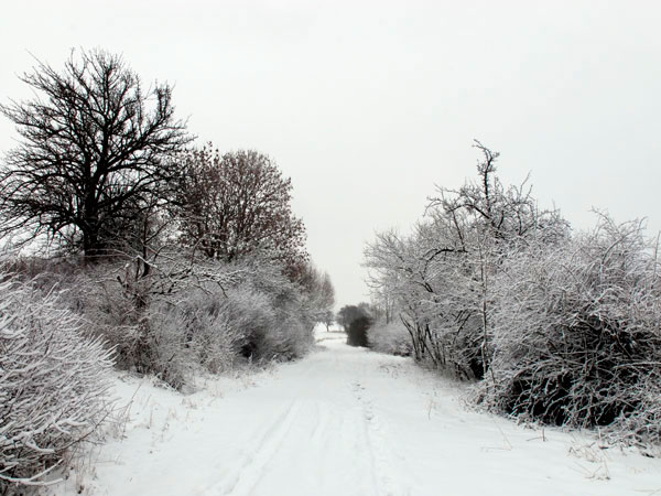 Paysage , Retour à domicile