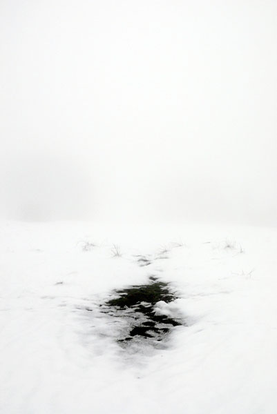 Landscape, Ice meadow