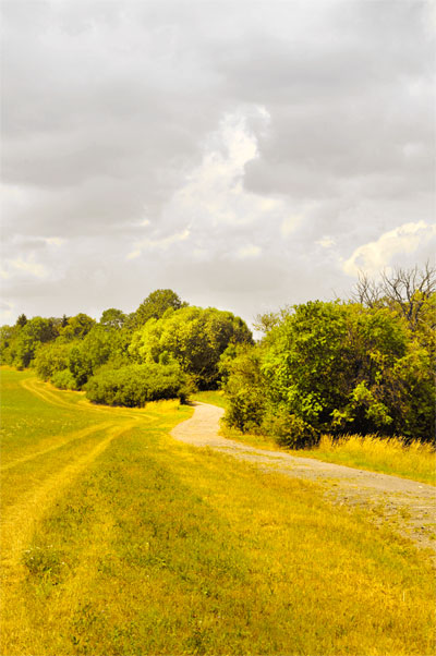 Paysage, Sur le chemin de terre III