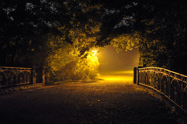 Bernd Weingart, Night Pieces 330